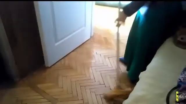 "Божественный Свет" , дал старт новой акции помощь вете