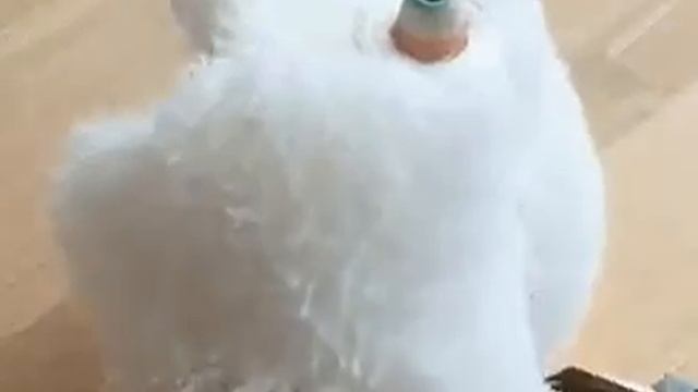 Интересная штучка из бинта