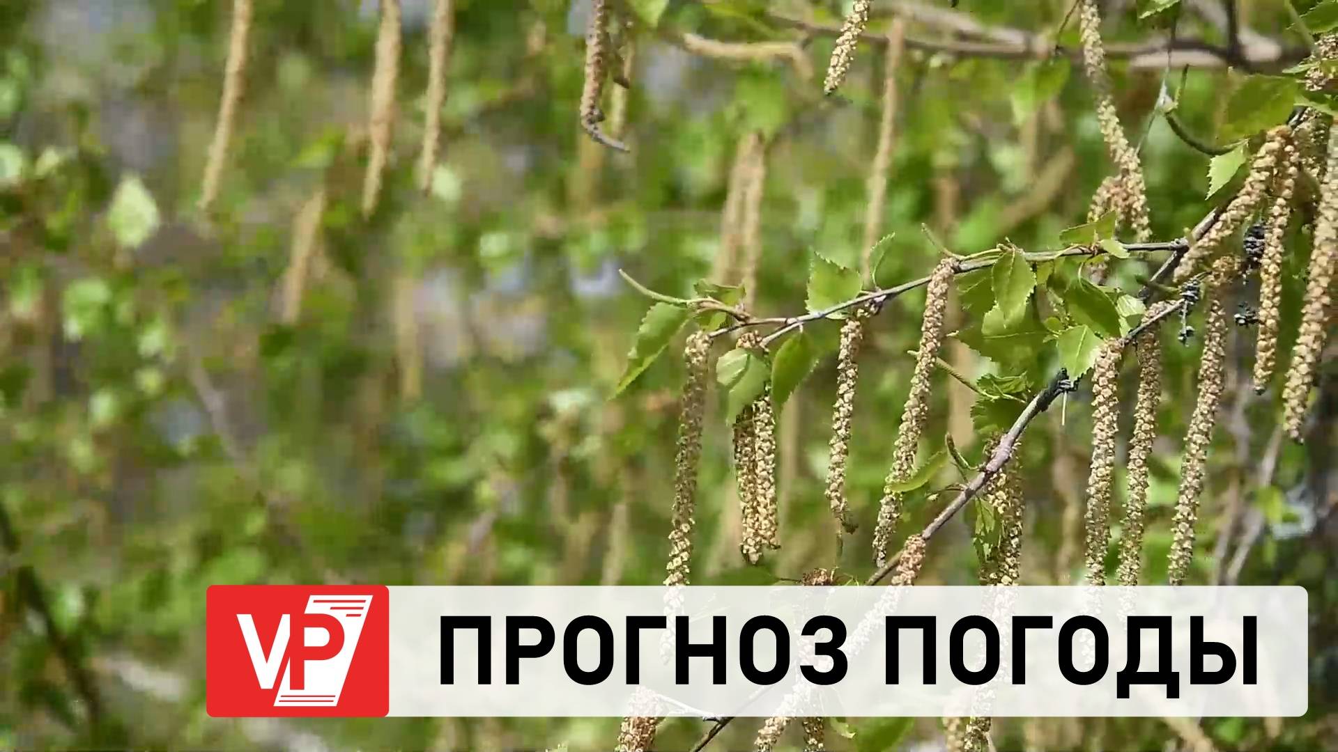 ПРОГНОЗ ПОГОДЫ ПО ВОЛГОГРАДУ И ОБЛАСТИ С 15 ПО 21 МАЯ
