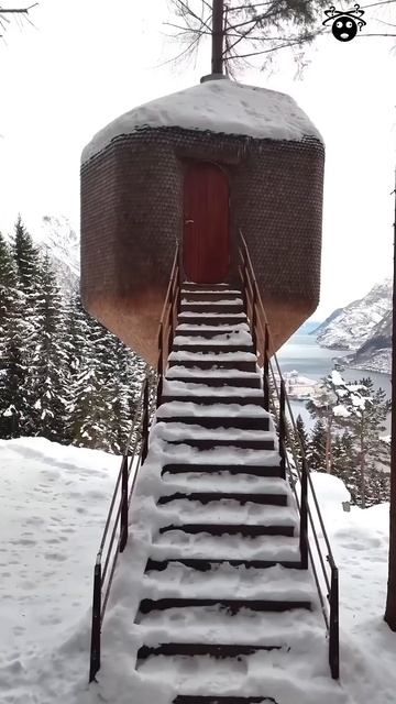 Norway's Luxury Tree House #shortsvideo