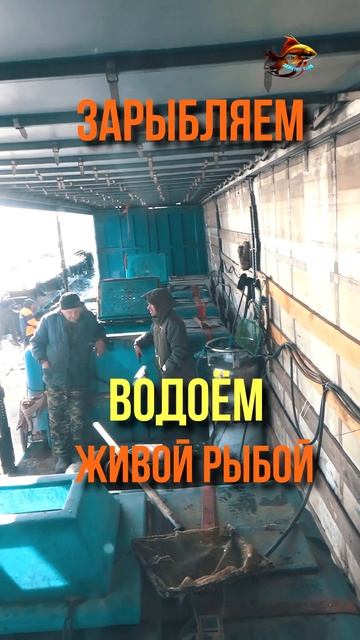 Самый главный рыбовод рыбу нам привёз Рыбалка Зарыбля