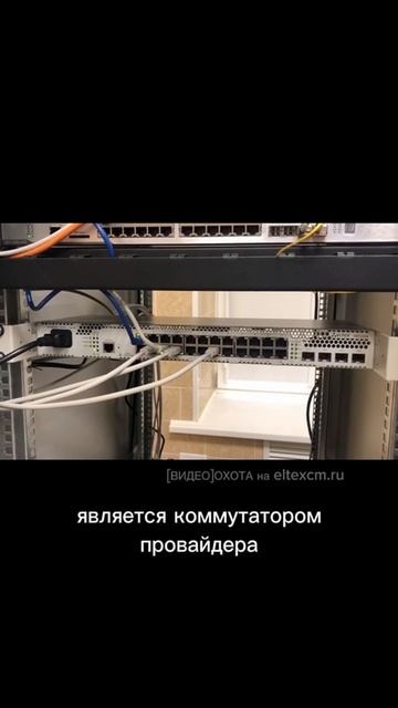 Коммутатор доступа MES2324 Eltex. Видео[Охота] на eltexcm.ru