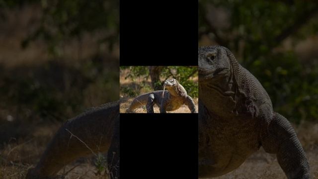 1000026578.mp4