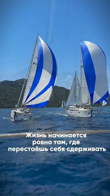 Парусная регата как это было #shorts.mp4