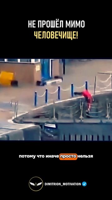Случайный прохожий спас котенка #добро
