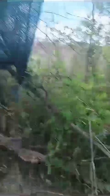 #СВО
