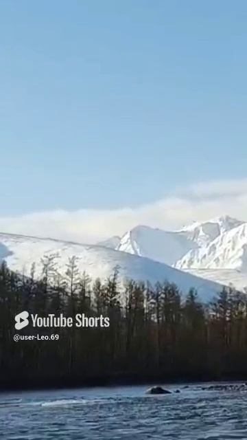 красота БАМа муйский гигант