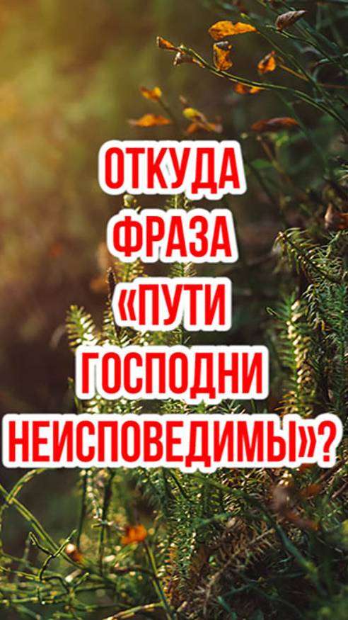 Откуда появилось выражение «Пути Господни неисповедимы»?