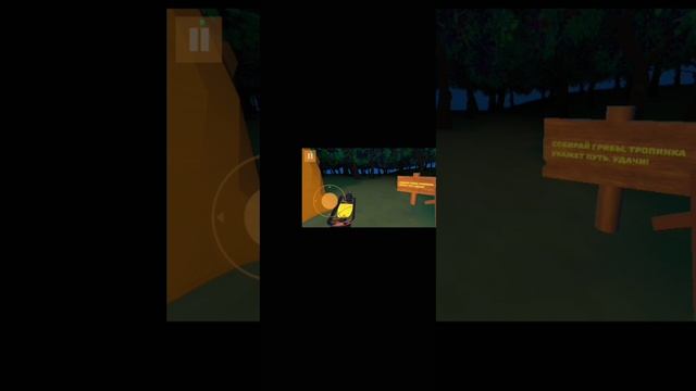 1000002729.mp4