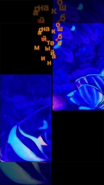 VID-20250511-WA0041