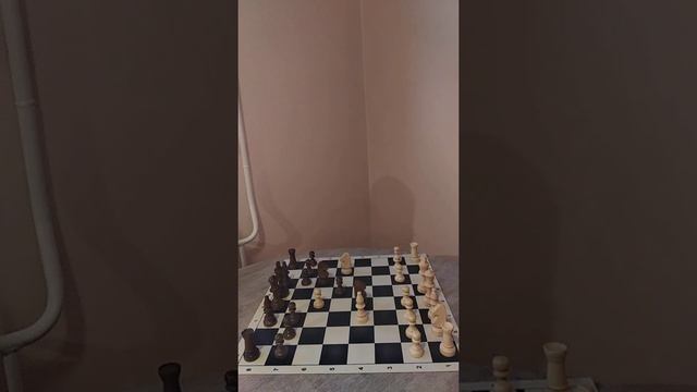 Защита двух коней с ловушкой