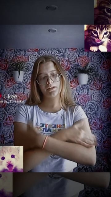 VID_20250501_230141_045.mp4