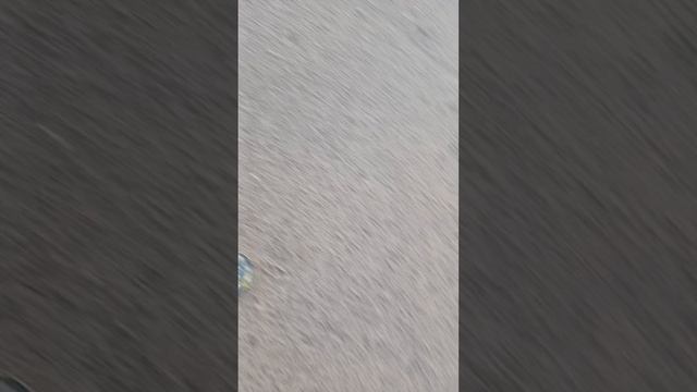 убиваем поп-ит чпеееееекссс