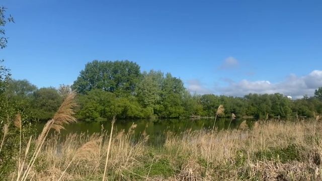 video5269612138443339908