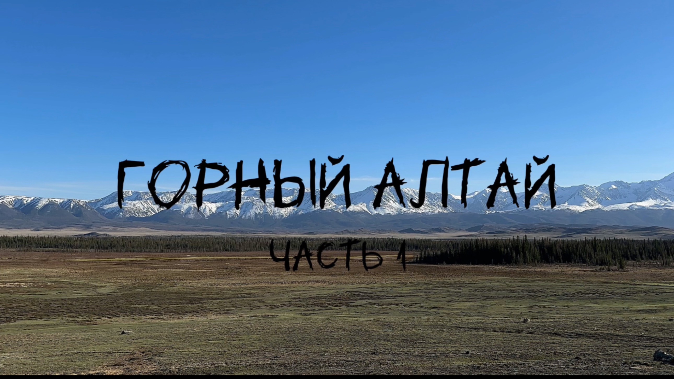 Наше маленькое путешествие на автодоме с двумя котами на Горный Алтай. Часть 1