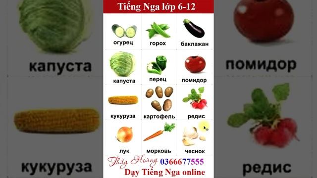 #Shorts 2_Học từ vựng hàng ngày