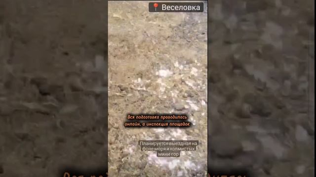 Свадьба #shorts