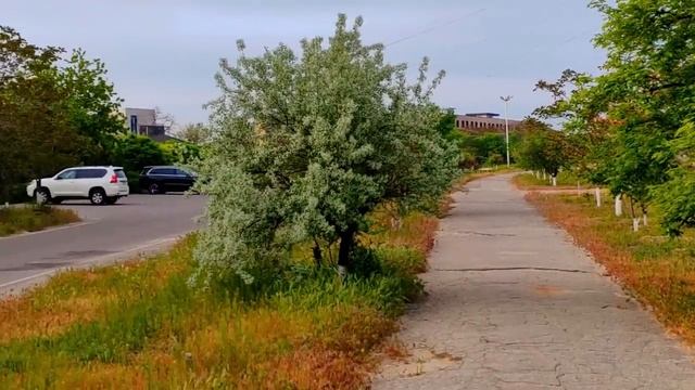 ОПЯТЬ ПРОСНУЛАСЬ НЕ В ПАРИЖЕ - Клипы для Души ТОП-10 Music Videos #русские_песни #музыка #music