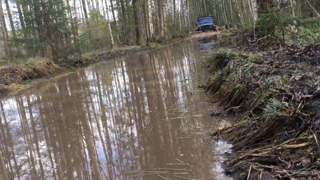 Синявино 04.05.2019 г.