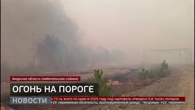Сезон пожаров: какова ситуация в крае? Новости. 14/05/2025. GuberniaTV