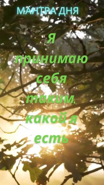 Мантра дня! Я принимаю себя таким, какой я есть