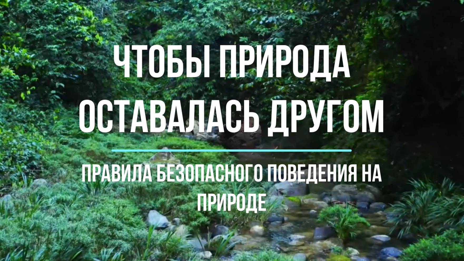 Чтобы природа оставалась другом