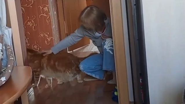 Безжалостное нападение кота Локи на бабушку, будьте бдительны!
