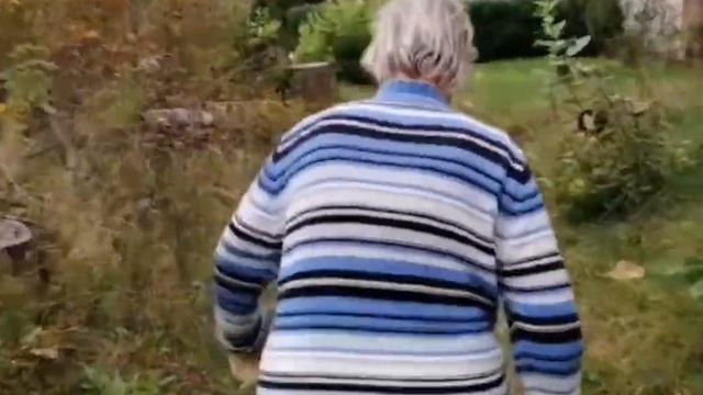 22.10.2024г. Фюрстенберг.27 школа. Шары от ,,старшей школы,, и Ильич в кустах..mp4