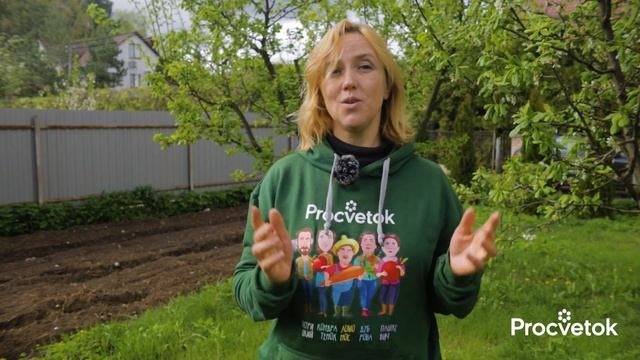 ПОСЛЕ ЦВЕТЕНИЯ ВСЕМ ДЕРЕВЬЯМ ОБЯЗАТЕЛЬНО дайте такую подкормку и обработку от болезней и вредителей