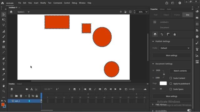 2. 2. Shape & Lasso Tool