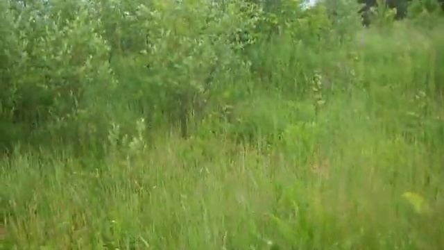 Состояние территорий закреплённых за подрядными орга