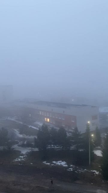 Вечерний туман 🌫️