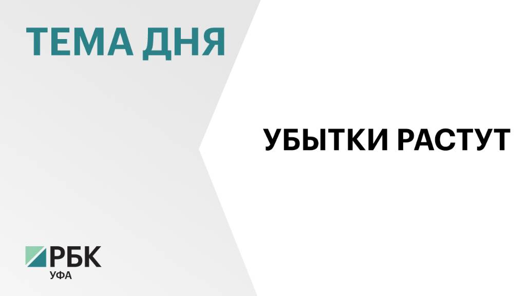 Убытки крупных и средних компаний в Башкортостане за год выросли вдвое