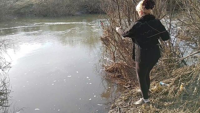 Ловлю рыбу карасей в Прокопьевске в России