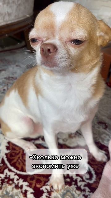 Борьба за тепло в доме