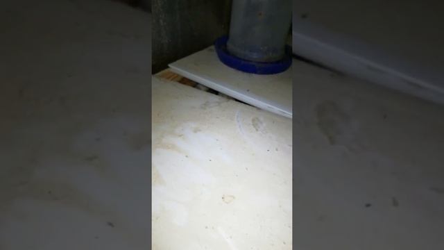Покупная или Самодельная клетка для перепелов.