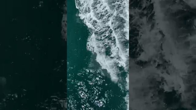 -475769366271736608