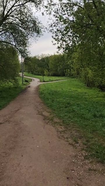 г.Тверь 14.05.25 ⏰7:00АМ, +6° Новости