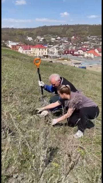 Сторонники Единой России вместе с председателем облдумы высадили тысячу деревьев в Саратове