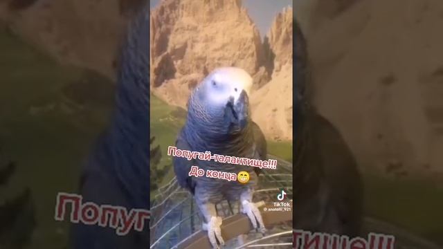 a0f930605d6b3b5bdd1c6bbf41eda019