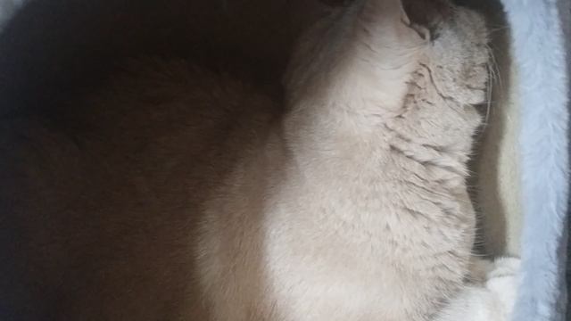 что за движ?
