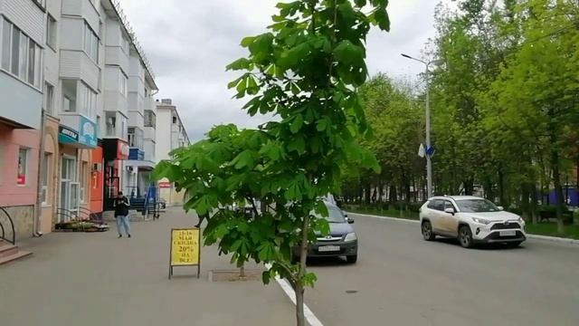 В магазине канцтоваров