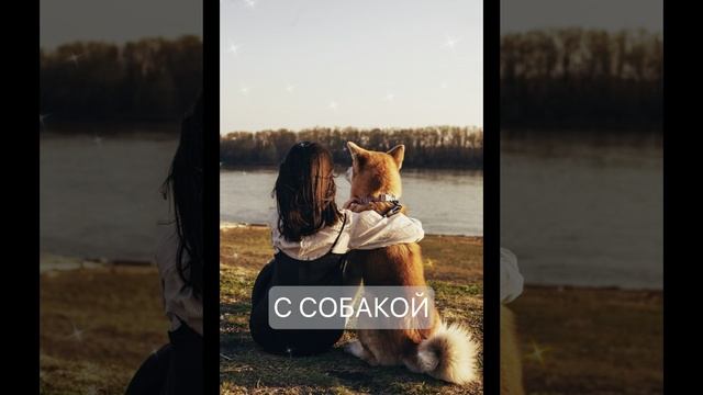 Фотосессия с Собакой Которая Завоюет Всех! Идеи для Кадров с Псом