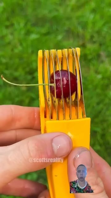 #candy #fruit #satisfying #food #oddlysatisfying #funn#comedy #mrbeasthunt #shorts