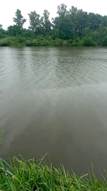 рыбалка  под  дождём