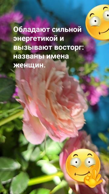 Обладают сильной энергетикой и вызывают восторг: назв