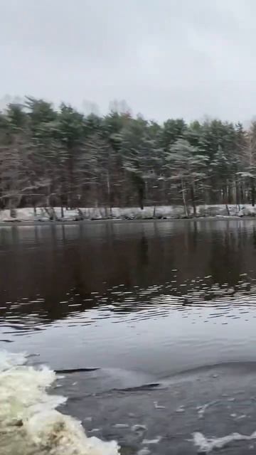 Неудачная рыбалка. Поздней осенью. #рыбалка #щука #спин
