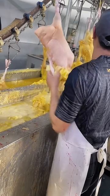 The process of peeling chicken skin quickly #shorts
