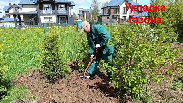 Услуги устройства и укладки рулонного газона на участке. Выезд агрономов по Москве и области.