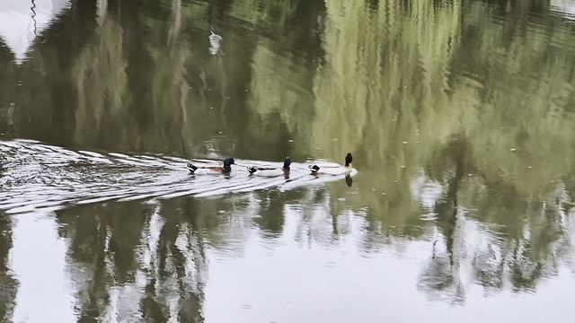 Белгород - город мечтателей